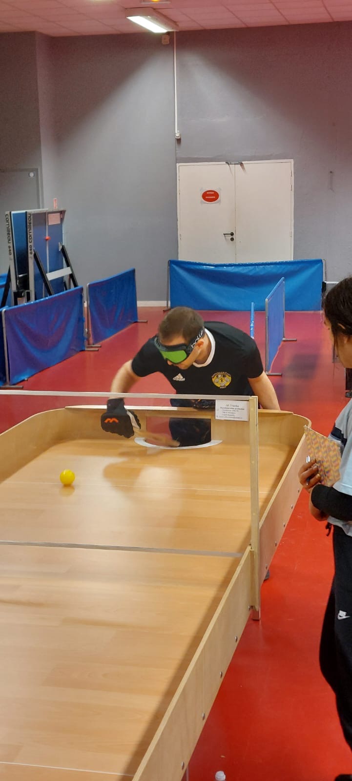 Tournoi amical de Showdown à Nantes